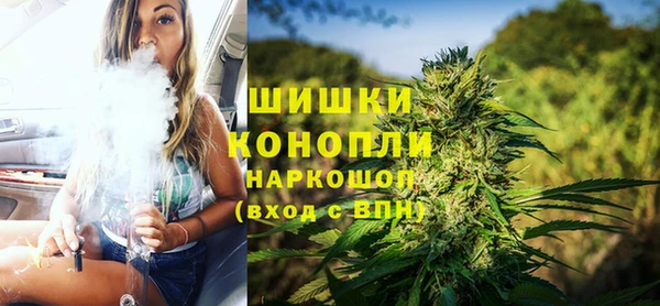Альфа ПВП Аркадак