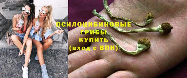 каннабис Арсеньев