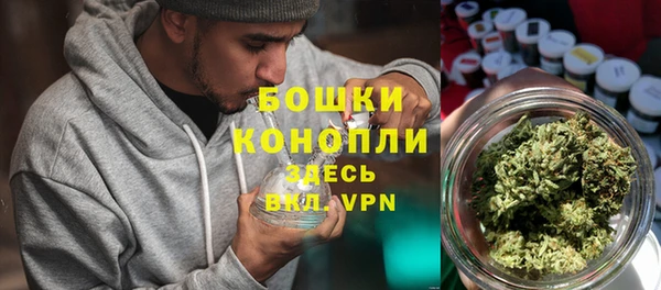 Альфа ПВП Аркадак