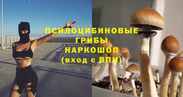 Альфа ПВП Аркадак