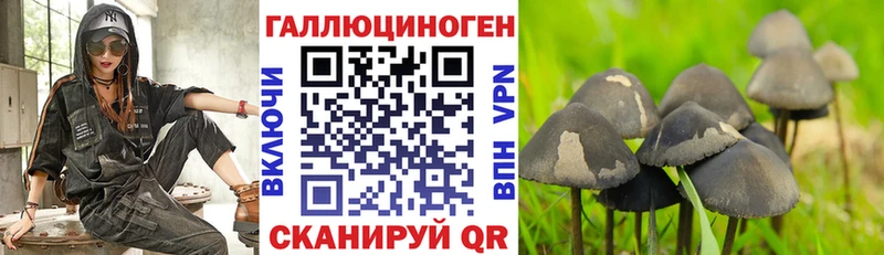 Галлюциногенные грибы Psilocybe  Тюкалинск 