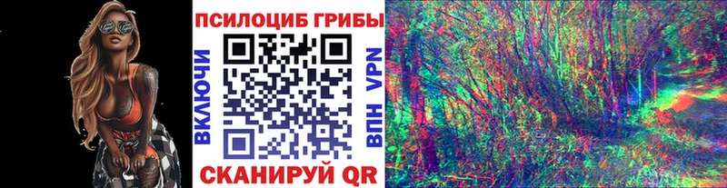 Галлюциногенные грибы Psilocybe Тюкалинск